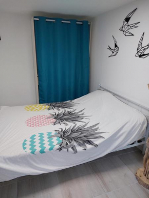 Aux portes de Camargue